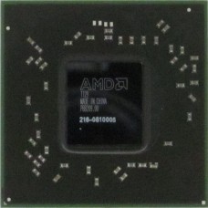 AMD 216-0810005